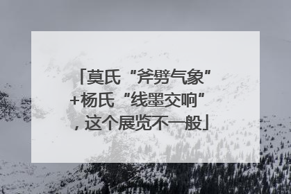 莫氏“斧劈气象”+杨氏“线墨交响”，这个展览不一般